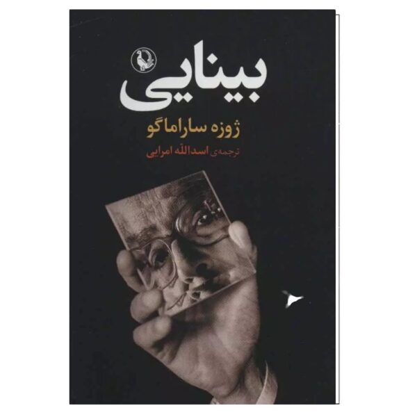 Seeing – Jose Saramago